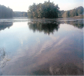 Summer Time at Warners Pond
