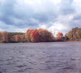 Warner’s Pond Summer Autumn